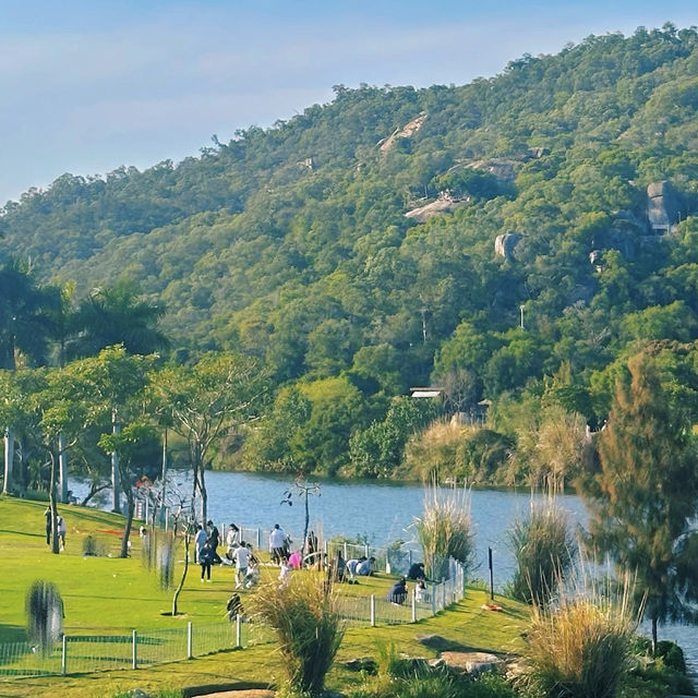 廈門上李水庫公園 | 城市裏的森系公園，去户外徒步、野餐、露营