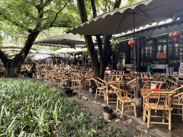 成都的"人民公園"充滿濃厚的市井氣息!