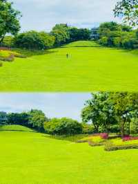 深圳可以野外奔跑嘅公園。