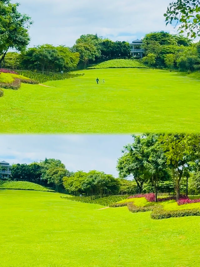 深圳可以野外奔跑嘅公園。