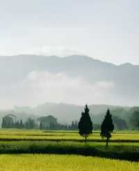 來到山野,體驗一場秋日之約吧。
