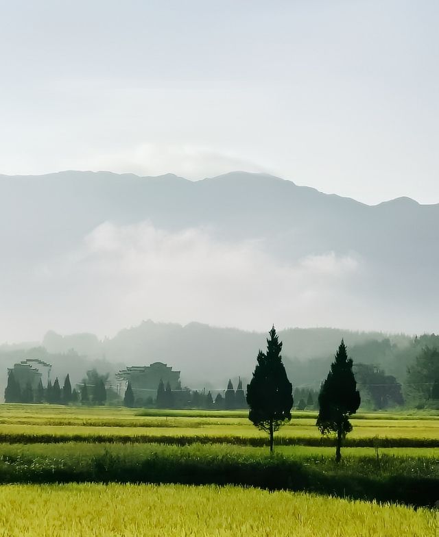 來到山野,體驗一場秋日之約吧。