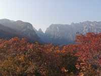 坡峰嶺。