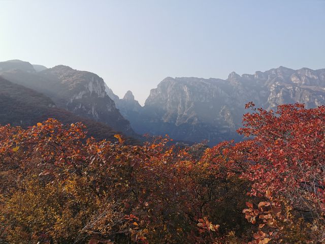 坡峰嶺。