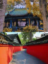 寶光寺旅遊攻略。