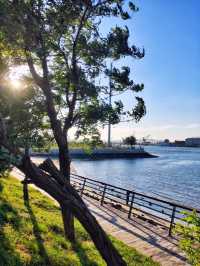 與養馬島西港隔海相望的北中國海公園。