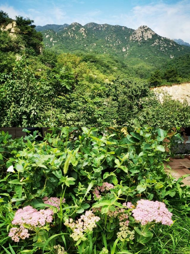 京郊後花園｜住進山中小別墅。