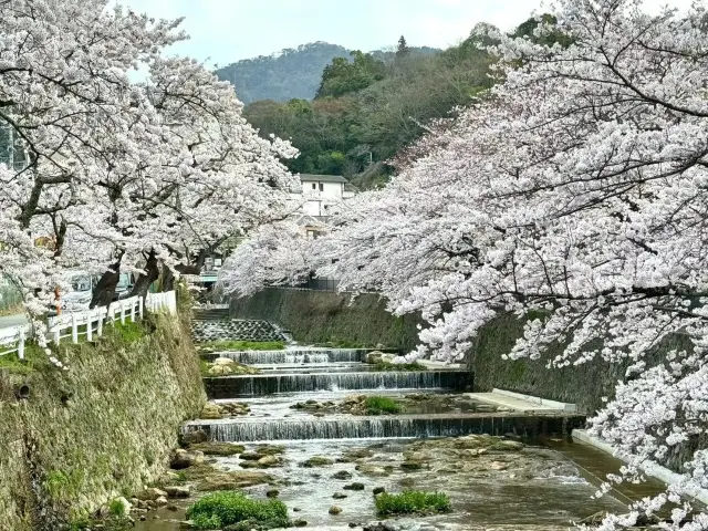 오사카에서 아리마 온천으로 가는 방법은? 철도 및 버스 교통 가이드 제공!