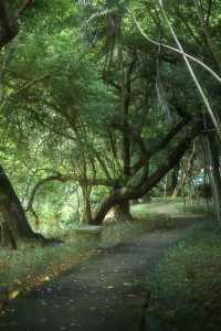 總有一次在公園相遇吧，我怕我會愛上這裡。