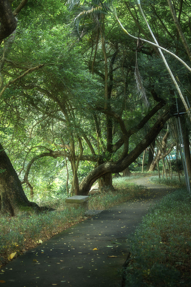總有一次在公園相遇吧，我怕我會愛上這裡。