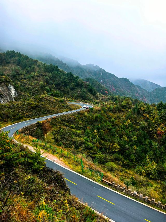 【秦嶺秋色】S101公路上的紅葉盛宴與黑龍口美食之旅。