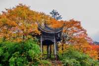 邂逅五蓮山旅遊風景區賞秋日美景。