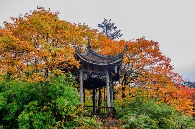 邂逅五蓮山旅遊風景區賞秋日美景。