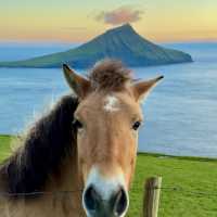  first day of the Faroe Islands
