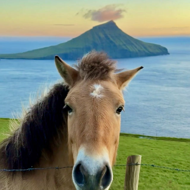  first day of the Faroe Islands
