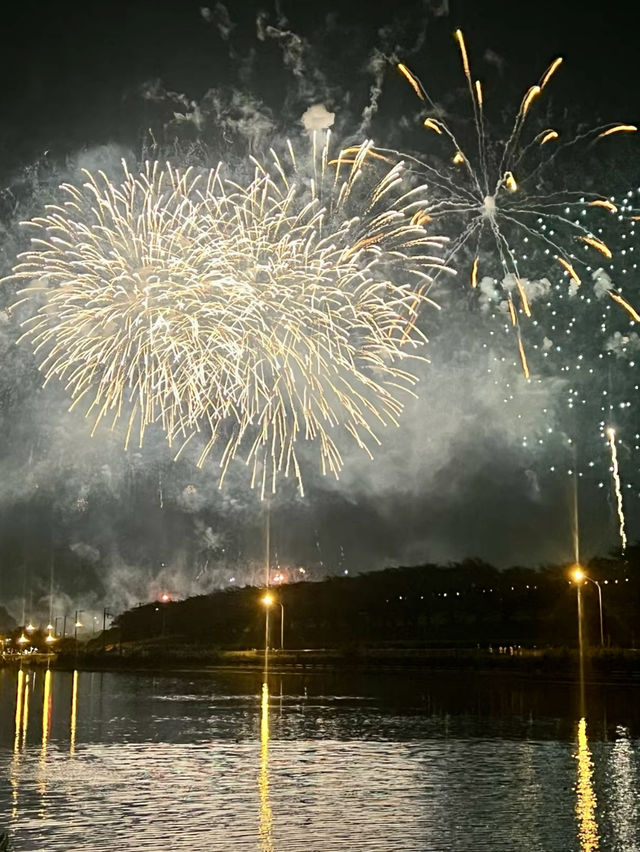 夜空綻放：荒川戶田橋的絢麗花火