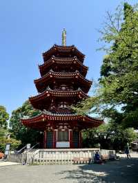 探訪心靈的平靜之地——日本川崎大師平間寺。