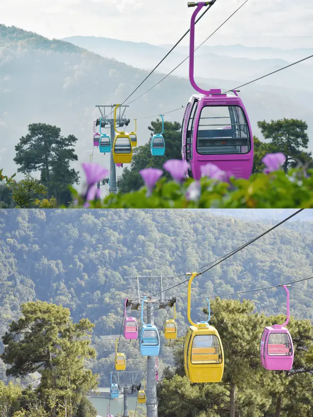 狂歡雙十一！打卡茶馬古道「跑男同款」。