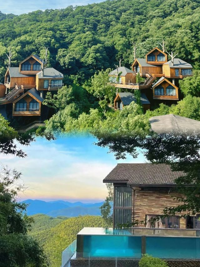 莫干山   體驗掛在樹屋裏的聊友。