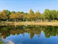 武漢周末好去處！公園郊遊！。