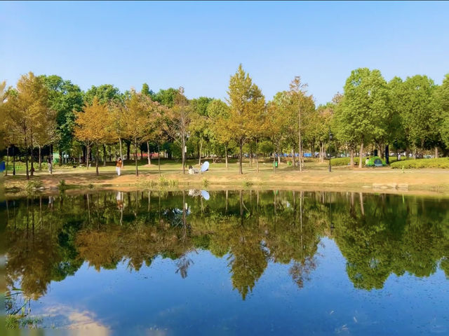 武漢周末好去處！公園郊遊！。