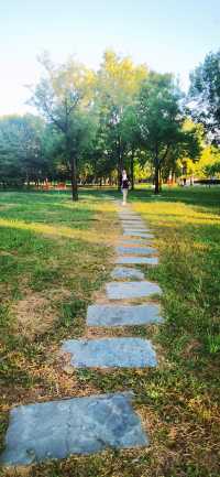 濱州市最大的公園——中海公園。