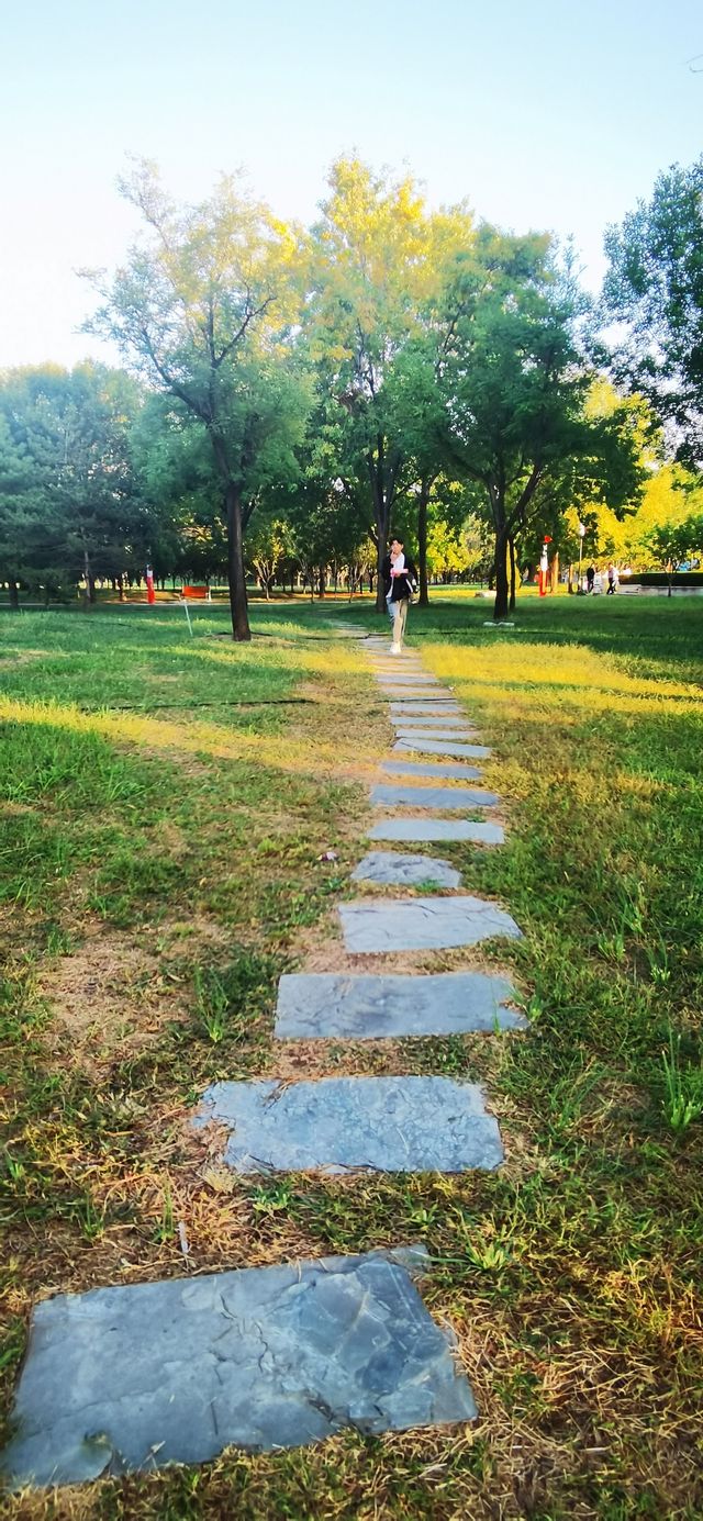 濱州市最大的公園——中海公園。