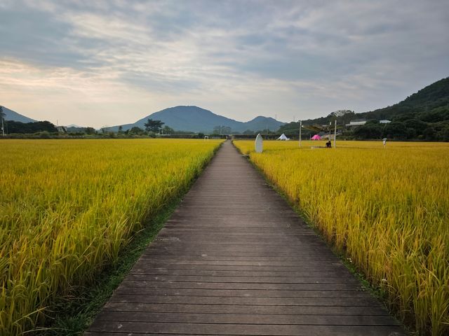 錯過一次，再等一年的美景。