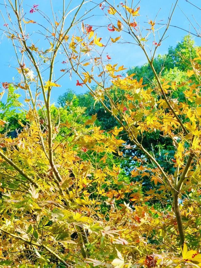 綠島公園。