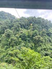 柳州雙龍溝｜原始森林的神秘探秘。