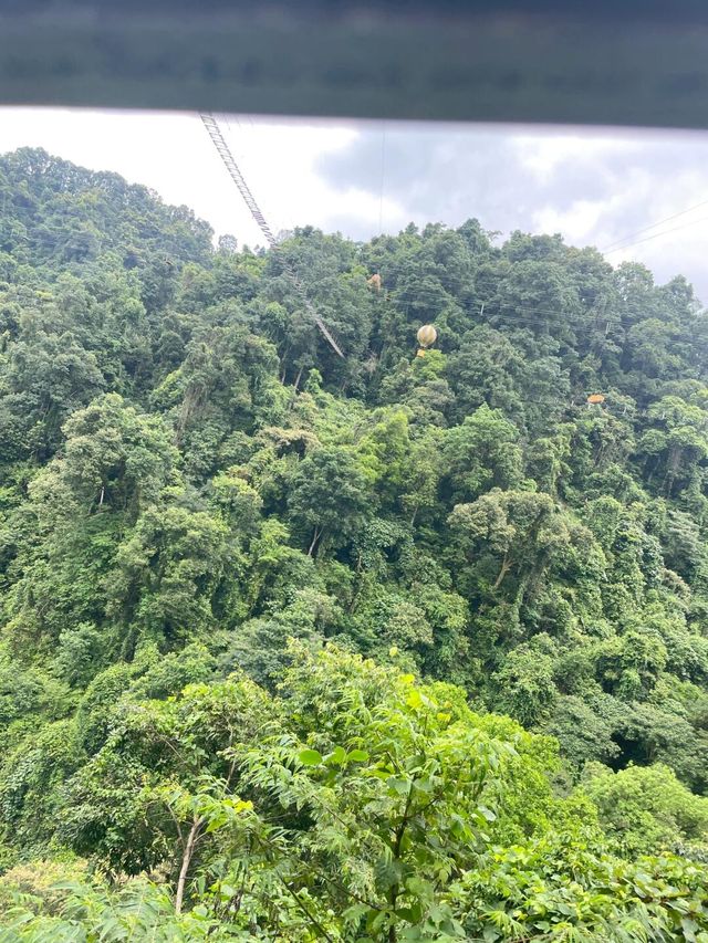 柳州雙龍溝｜原始森林的神秘探秘。