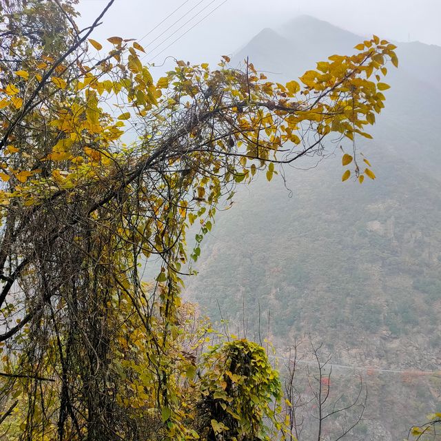 西安‖到木藤寨欣賞初冬的一抹紅葉。