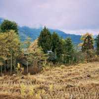 石柱旅遊｜來山與湖•湖心營探索自然之美，享受悠閒時光