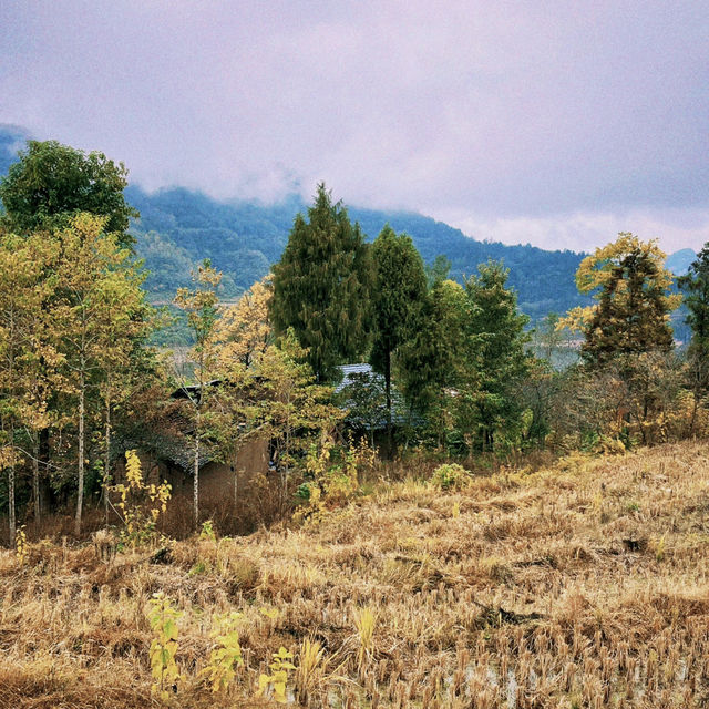 石柱旅遊｜來山與湖•湖心營探索自然之美，享受悠閒時光