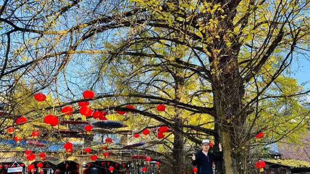保定市銀杏樹旅遊度假村。