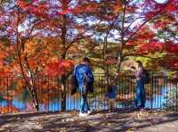 Discover the Charm of Saitama's Little Nordic