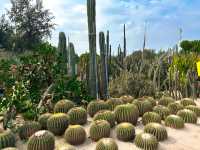 廈門園林植物園：都市中的綠色仙境