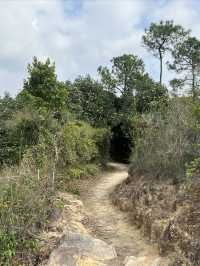 大欖郊野公園｜麥理浩徑第十段千島湖清景台