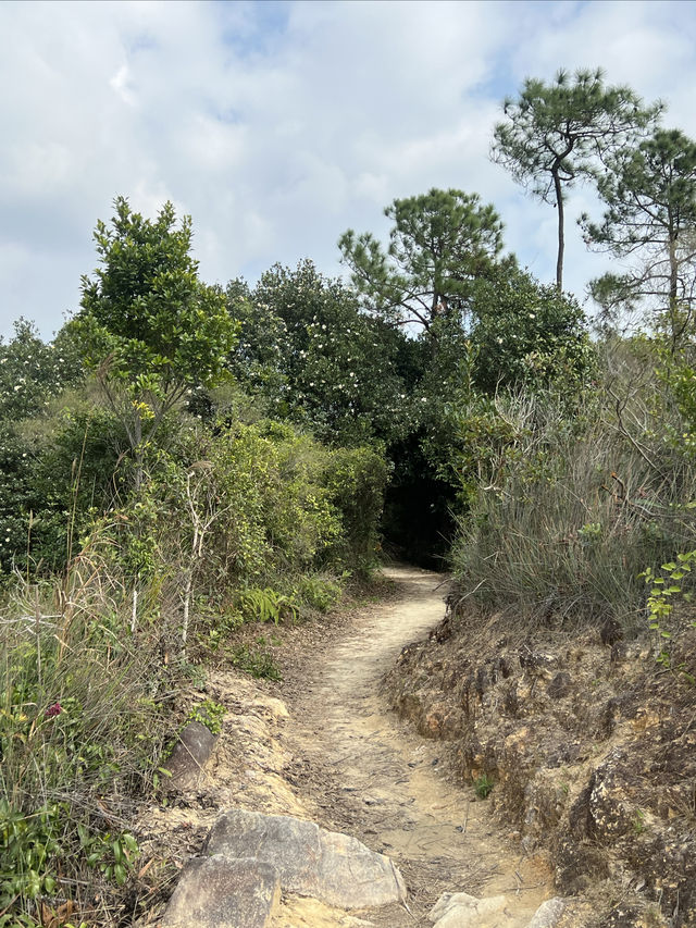 大欖郊野公園｜麥理浩徑第十段千島湖清景台