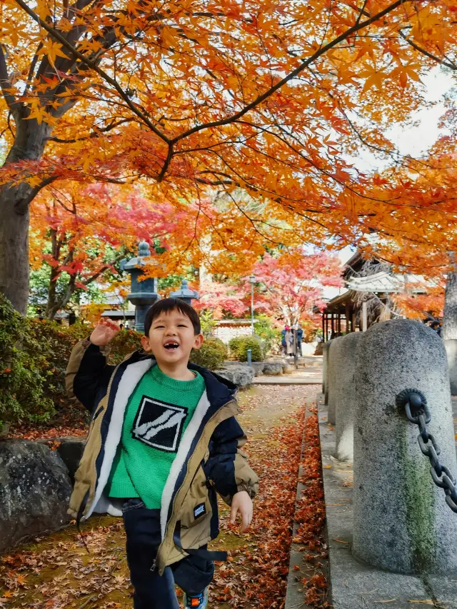 豪徳寺｜初冬の東京で紅葉狩り 可愛い招き猫の神社