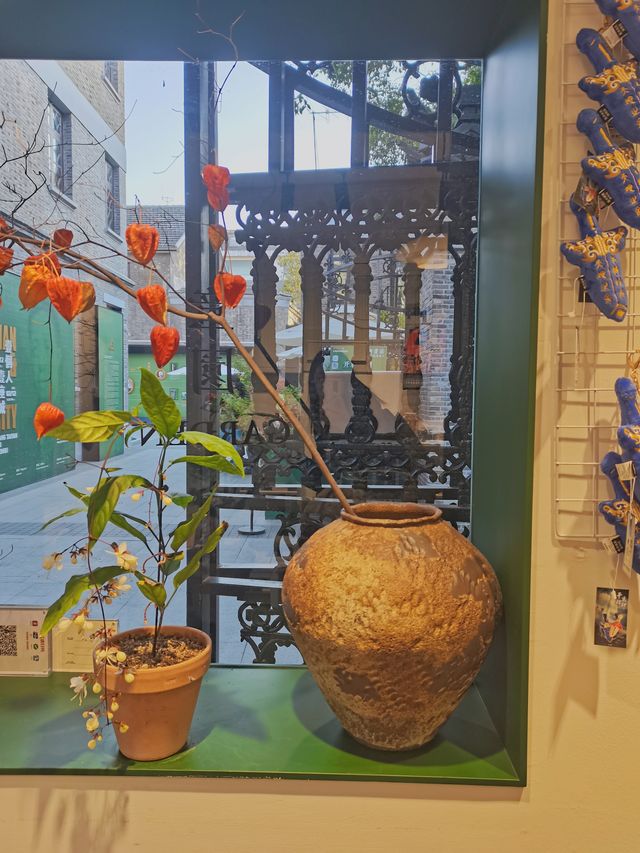 蘇州初冬 city walk，小眾文藝章園