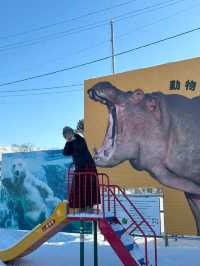 旭川 | 🐧可愛動物園&周邊好吃拉麵店🍜