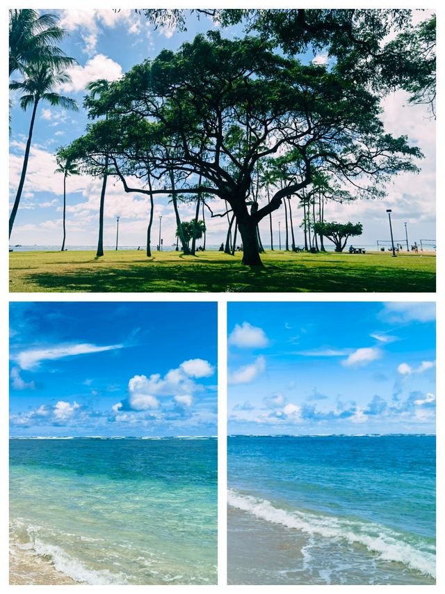 夏威夷可愛島，湖光山色，無一不美