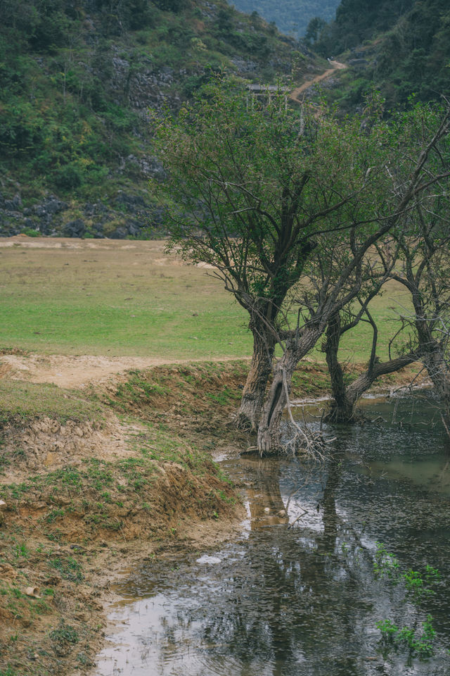 陇卡赖|稍為遺憾的一站,等到春天會更美 陇卡赖|稍為遺憾的一站,等到春天會更美