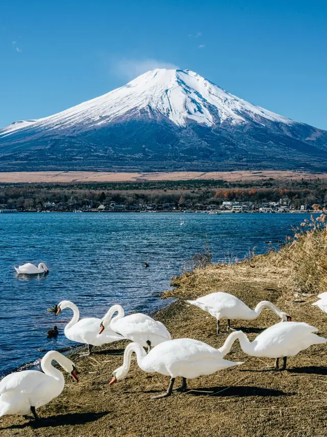6-Day Japan Tour: Enjoy Authentic Hot Springs