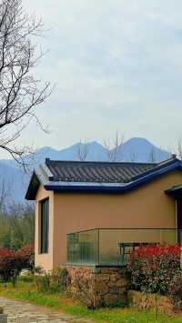 我在合肥住進了山水畫裡的房子