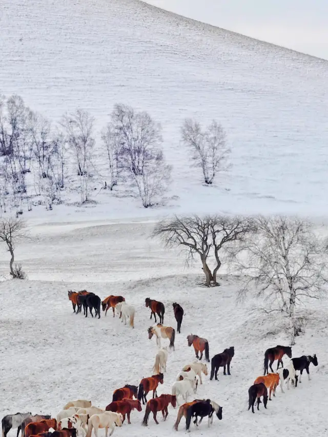 Ulan Butong | Breathtaking Chinese Painting