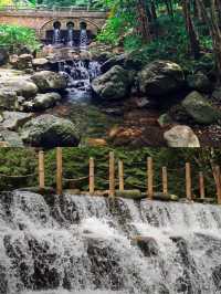 瓊中百花嶺—堪比亞馬遜的熱帶雨林