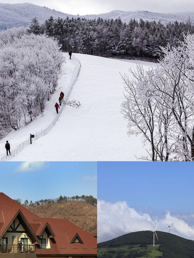 韓國平昌郡三天旅遊攻略來啦！