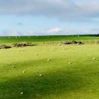 Seven Sisters National Country Park